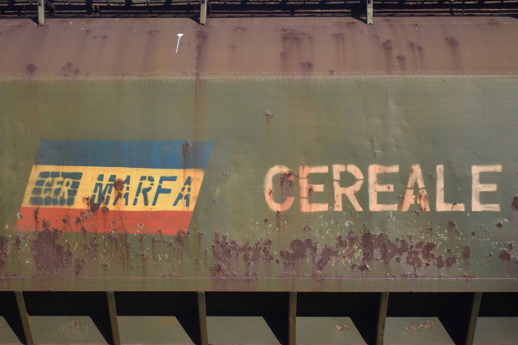 A train set belonging to CFR Marfă. Photo: Adriana Iacob / Shutterstock