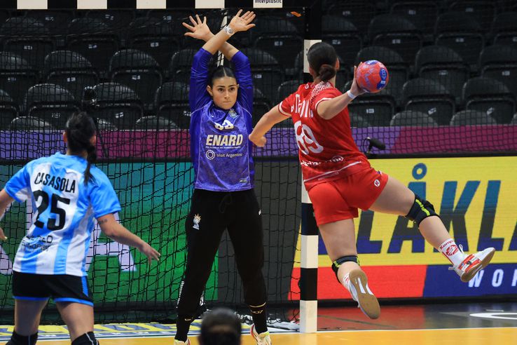 Images from the match Austria - Argentina PHOTO: Ionuţ Iordache (GSP)