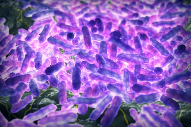 Treatment for leprosy can take up to 2 years, says a doctor. In what situations should you go to the hospital immediately / The first two cases of leprosy, confirmed in Romania after more than 4 decades