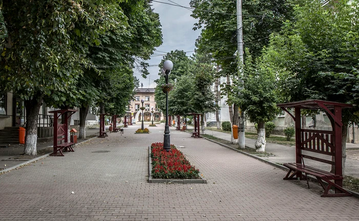 Pedestrian Săveni PHOTO Cosmin Zamfirache