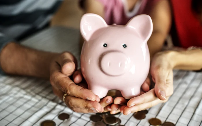 piggy bank in the shape of a pig