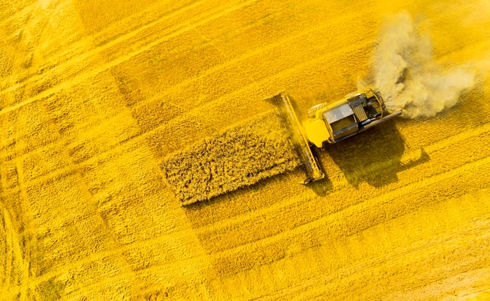 After a few tough years, droughts in 2024 and 2025 will bankrupt farmers PHOTO: Shutterstock