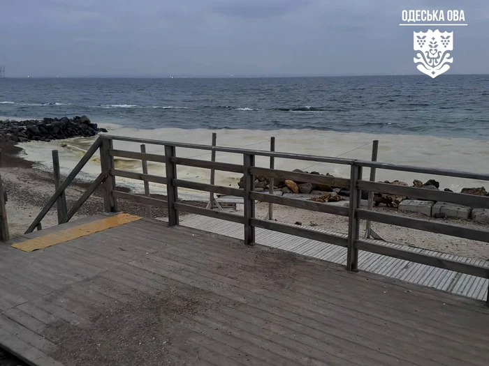 The captured images show stains of brown oil on the beaches of Odesa. PHOTO: X/@CforCD