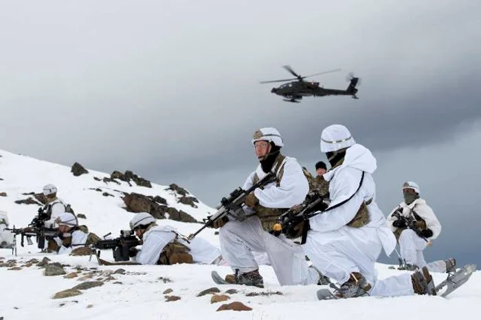 arctic2 jpg