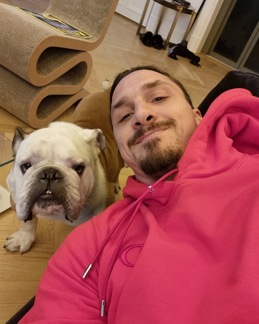 Here's where Zlatan Ibrahimovic lives in Milan: 5 million euro penthouse on the 34th floor, indoor pool, furniture from famous designers + What luxury neighborhood did Cristi Chivu choose