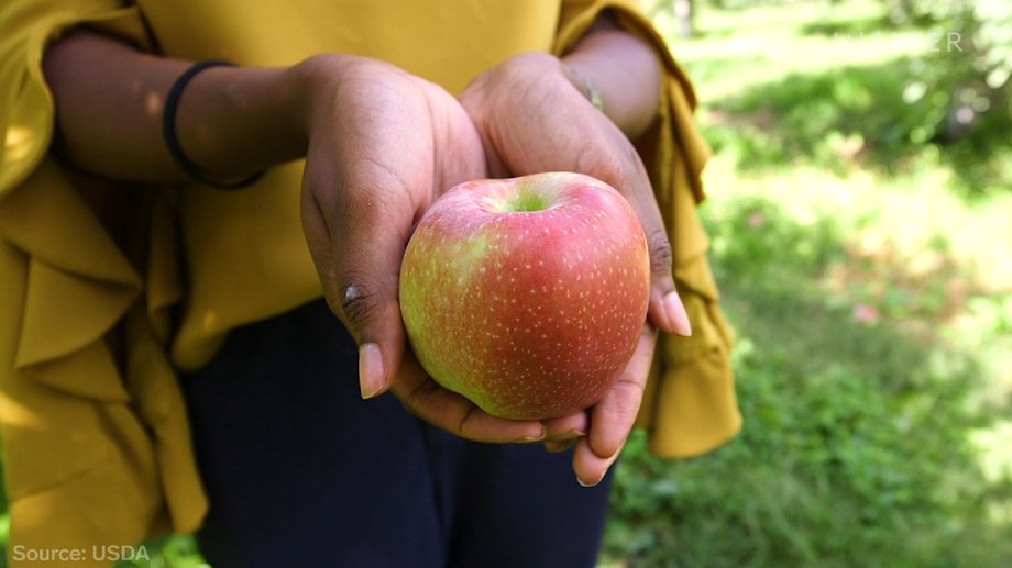 Scientists wanted to create the perfect apple