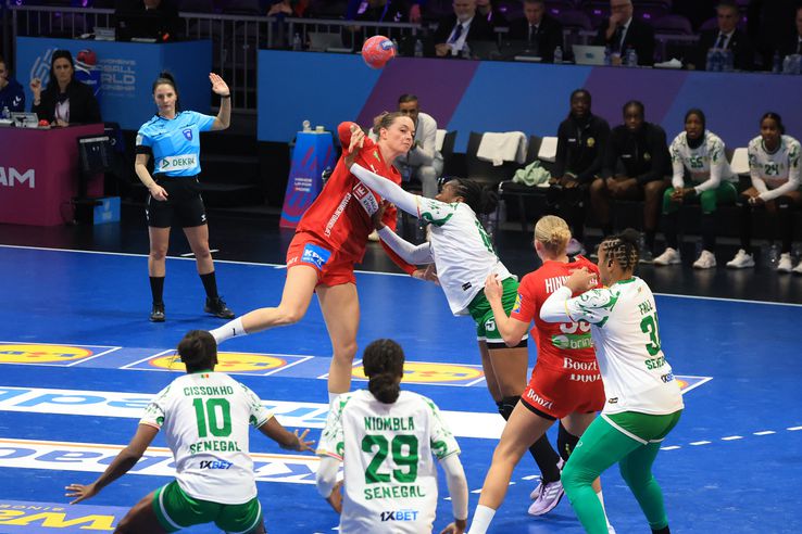 Images from the match Denmark - Senegal PHOTO: Ionuţ Iordache (GSP)