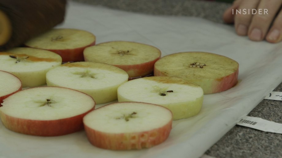 Creating a new apple variety is a long-term process
