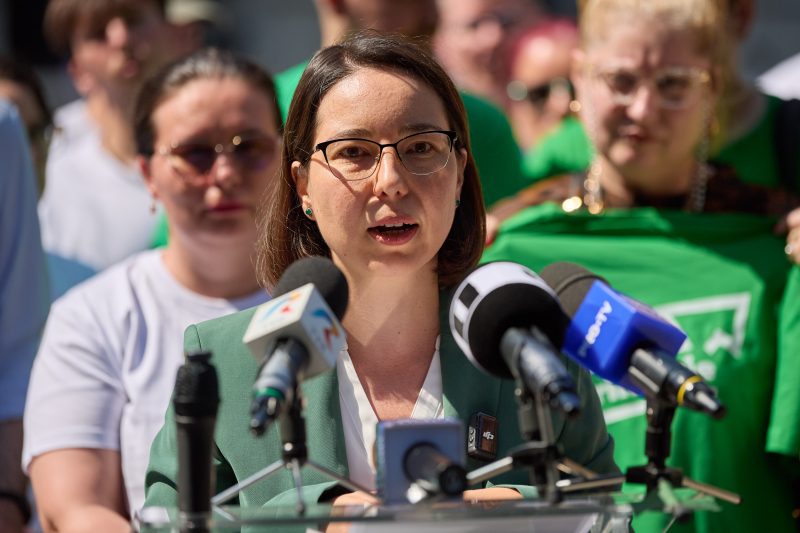 Ana Ciceala's party asks the Government to assume responsibility for the election of mayors in two rounds