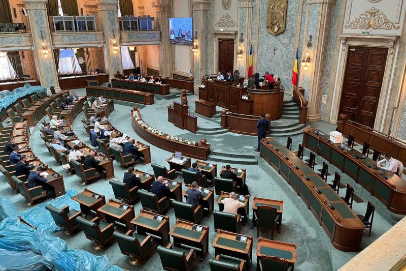 Extraordinary meeting of the Senate on August 20, 2025. Photo: HotNews / David Leonard Bularca