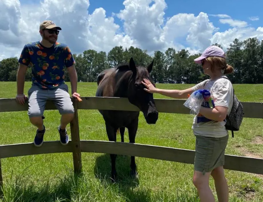 If you love horses, Alachua County is a part of Florida you don't want to miss