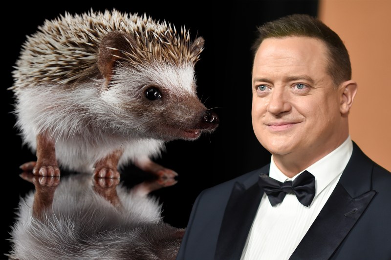 Brendan Fraser. Photo: Richard Shotwell / AP / Profimedia. Collage: Ion Mateș