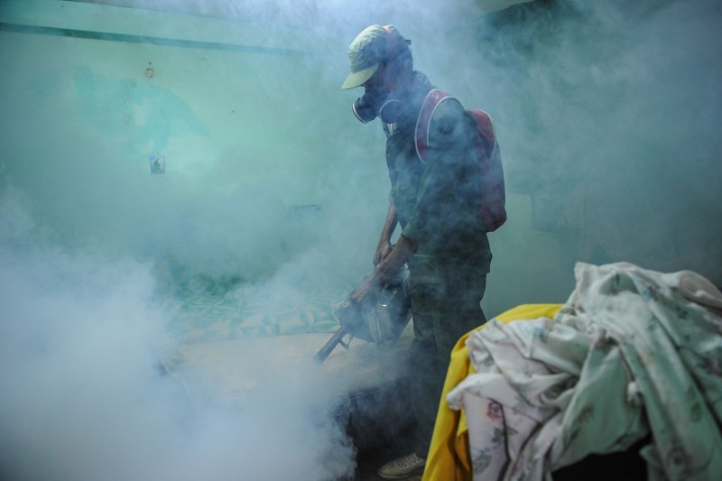 A mosquito-borne epidemic is wreaking havoc in Cuba. The death toll