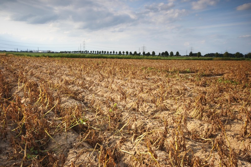 Earth's continents are losing fresh water at an alarming rate, warns a World Bank report