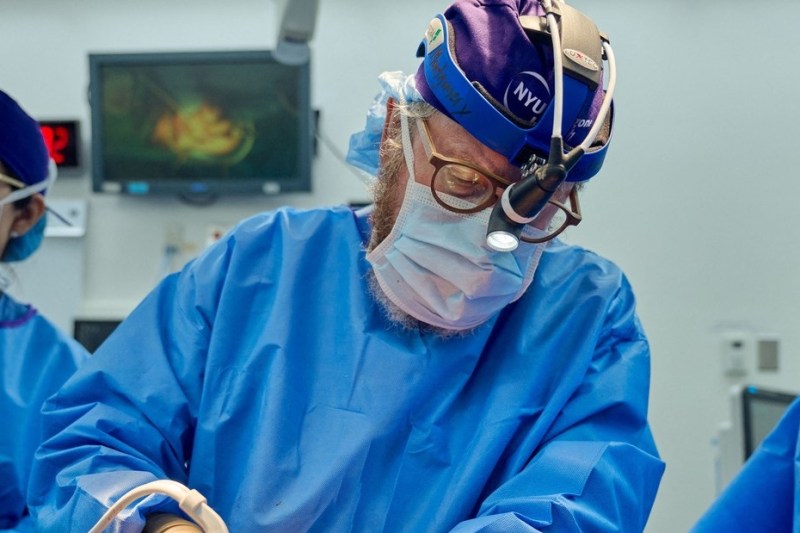 Top surgeon believes pig organ transplants may one day become superior to human transplants, which 'will just never be enough'