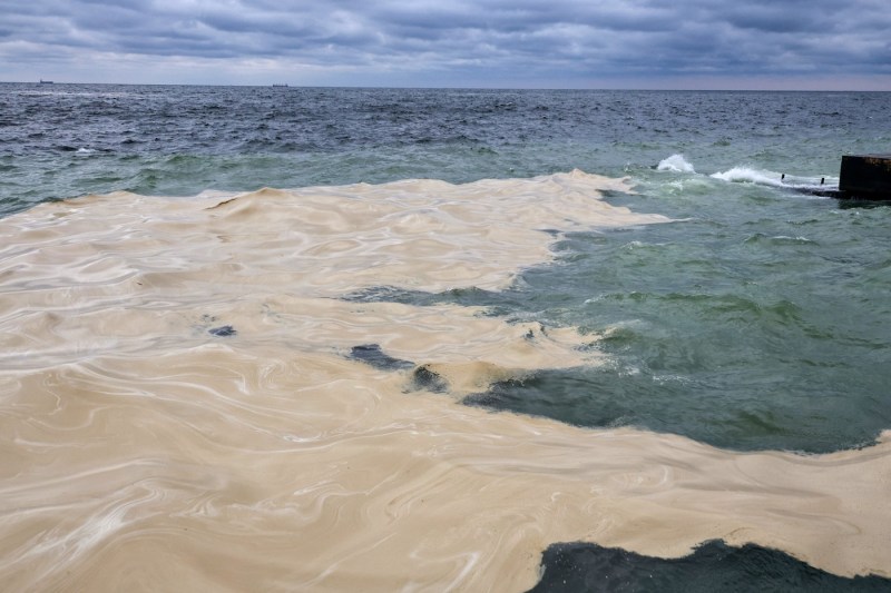 Pollution in the Black Sea after the Russian bombing of Odessa. Dozens of dead birds were pulled from the water