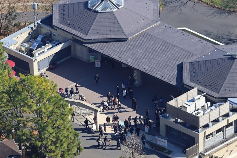 VIDEO Panic at a Tokyo zoo after a wolf escaped from its enclosure
