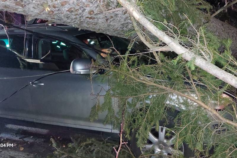 PHOTO Fallen trees in Sinaia, as a result of the orange code in Prahova. A tree fell on a car with three people inside