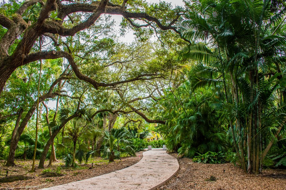 Tropical Botanical Garden near Coral Gables