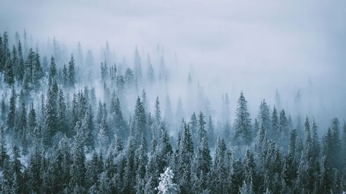 Lapland PHOTO Eeva Makinen