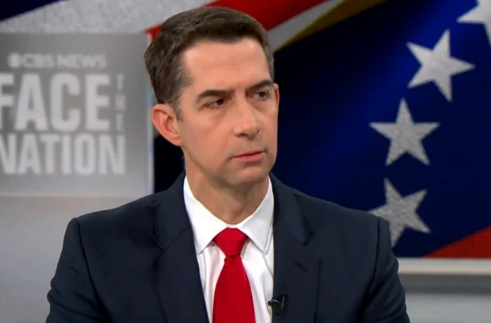 Senator Tom Cotton PHOTO: video capture X