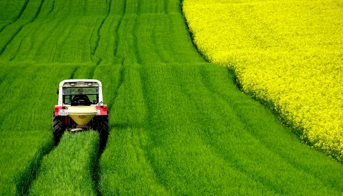 The highest average price/ha for agricultural land exceeded, in 2024, 200,000 euros FOTo: Pixabay