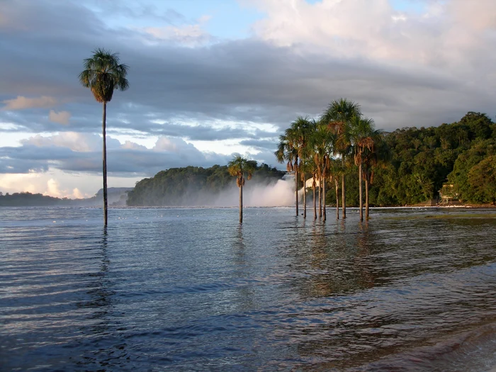 Rezervație naturală în Venezuela FOTO wikipedia