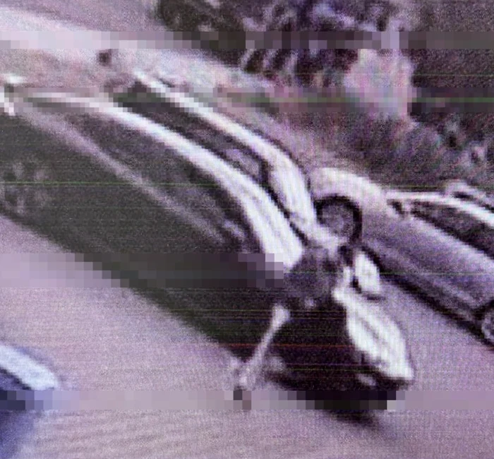 The Romanian calmly left the store and left in the luxury car PHOTO: Video capture/ Bild