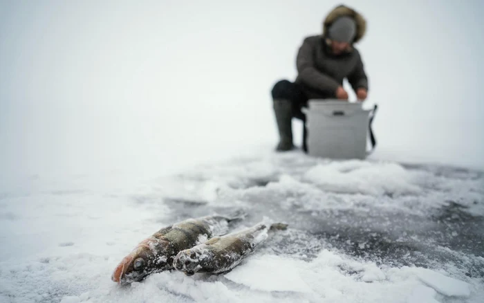 Ice fishing, an endangered tradition. Photo. Freepik.com