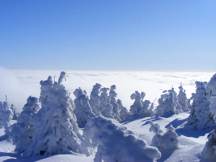 The weather forecast is for the period January 19 - February 16/PHOTO: Shutterstock