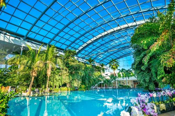 Therme Bucharest swimming pool