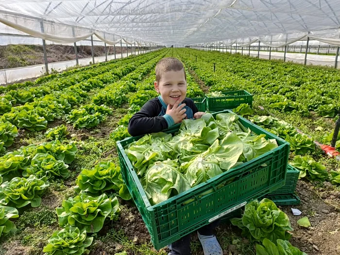 The producers would like to be able to take the products directly to the final consumer PHOTO: Mihai Chesnoiu