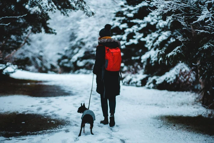 Meteorologists have published the weather forecast for the next four weeks/PHOTO: Pexels