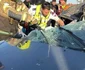 Tal Berkovich accident