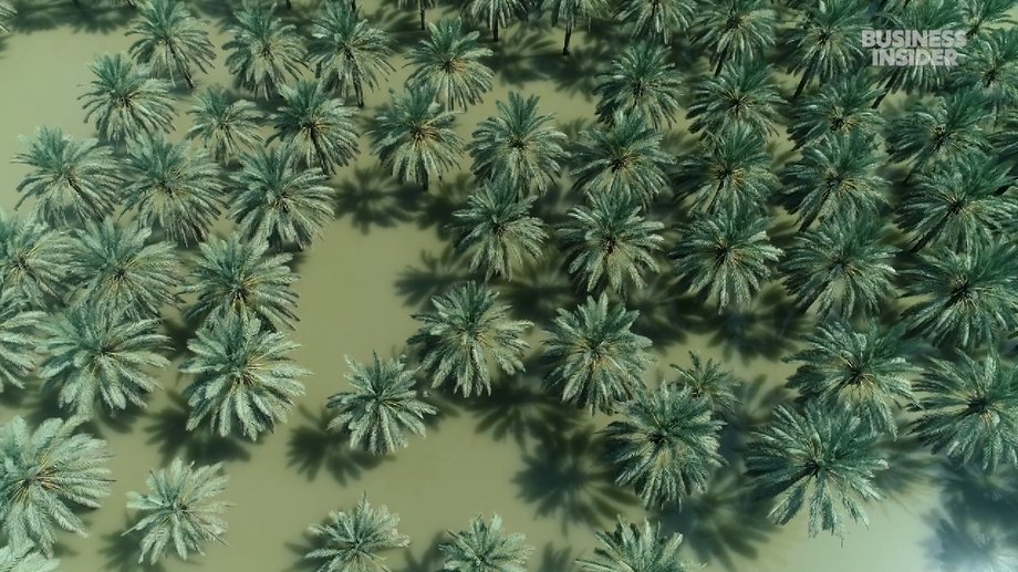 Thousands of farms were underwater