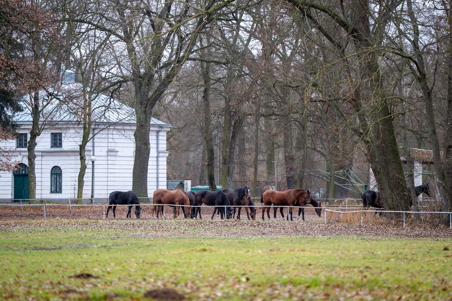 Janów Podlaski Stud Farm