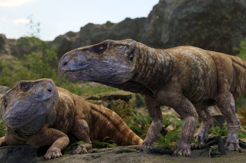 A research carried out with the contribution of the University of Bucharest rewrites the history of dinosaurs on the European continent. The fossils discovered in Șara Hațegului were the basis of the new study, now published in Nature - PHOTO
