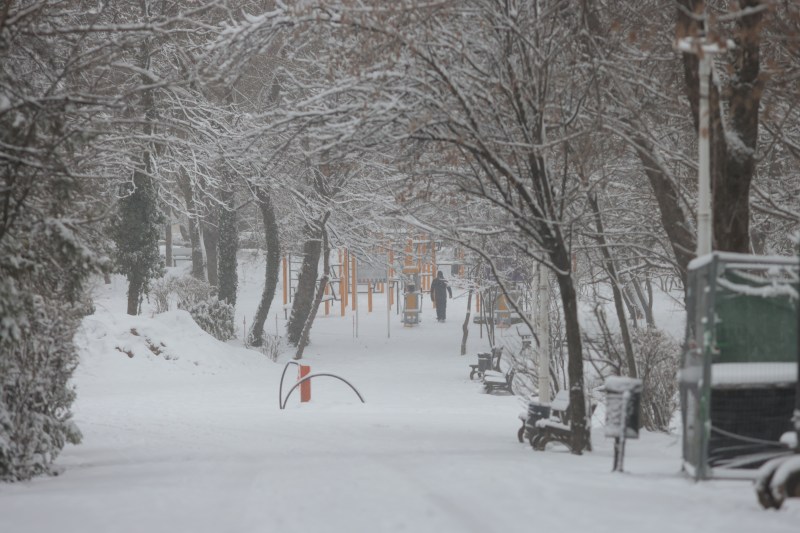 A new episode of frost in Romania, after a few days of warming weather in the middle of the week / ANM announcement