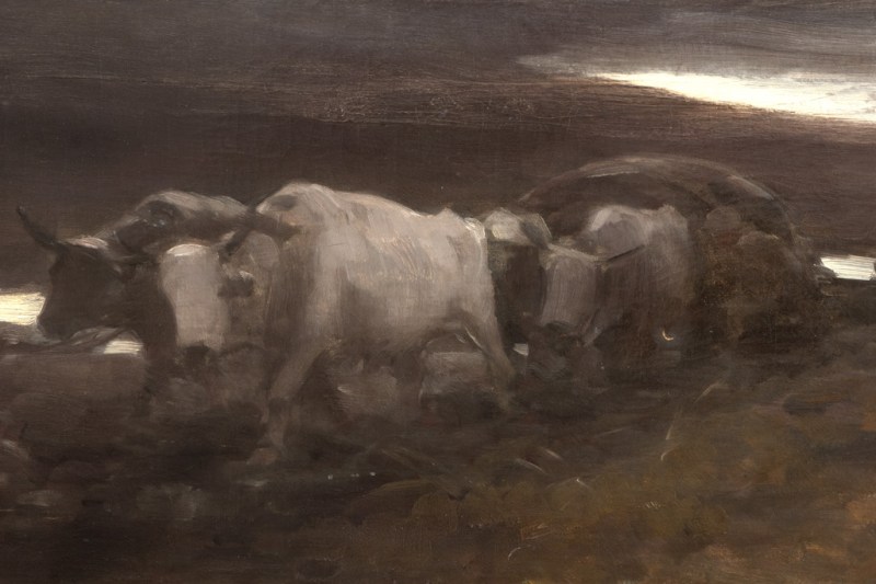 A part of the Darius Vâlcov collection, containing among others a work by Picasso, is being sold by auction at Artmark
