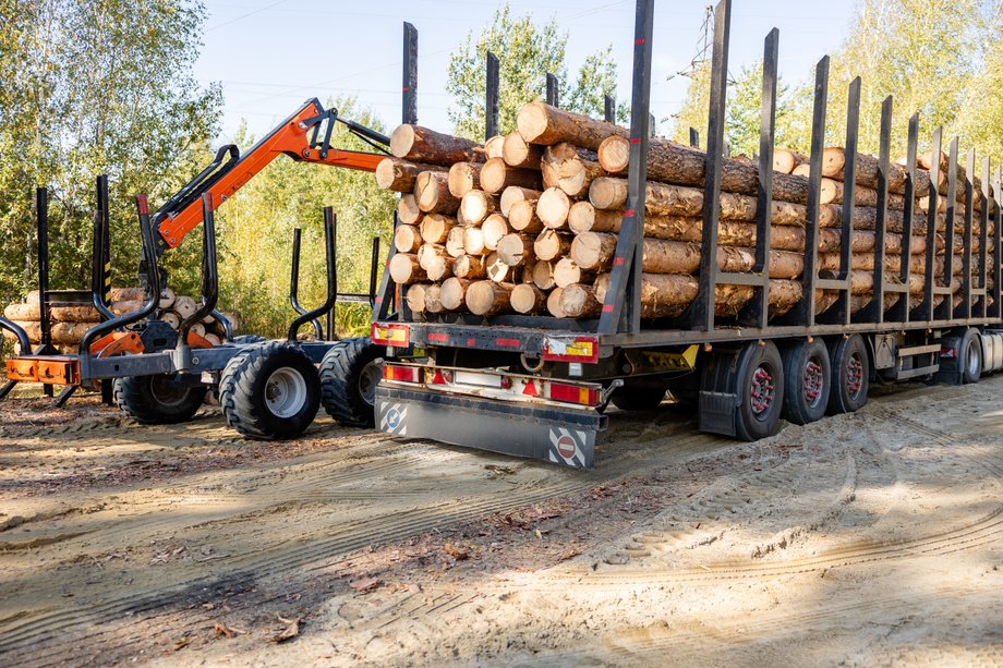 Woody biomass
