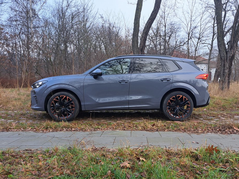 Cupra Terramar