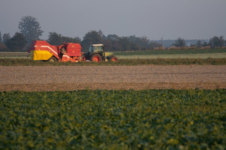 According to Adrianna Wrona from the Institute of Green Economy, pro-environmental practices in agriculture are not sufficiently supported 