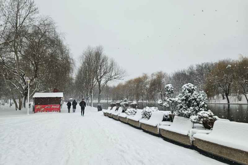 Snowfall in Bucharest. How deep the snow cover is and what the weather forecast looks like for the month