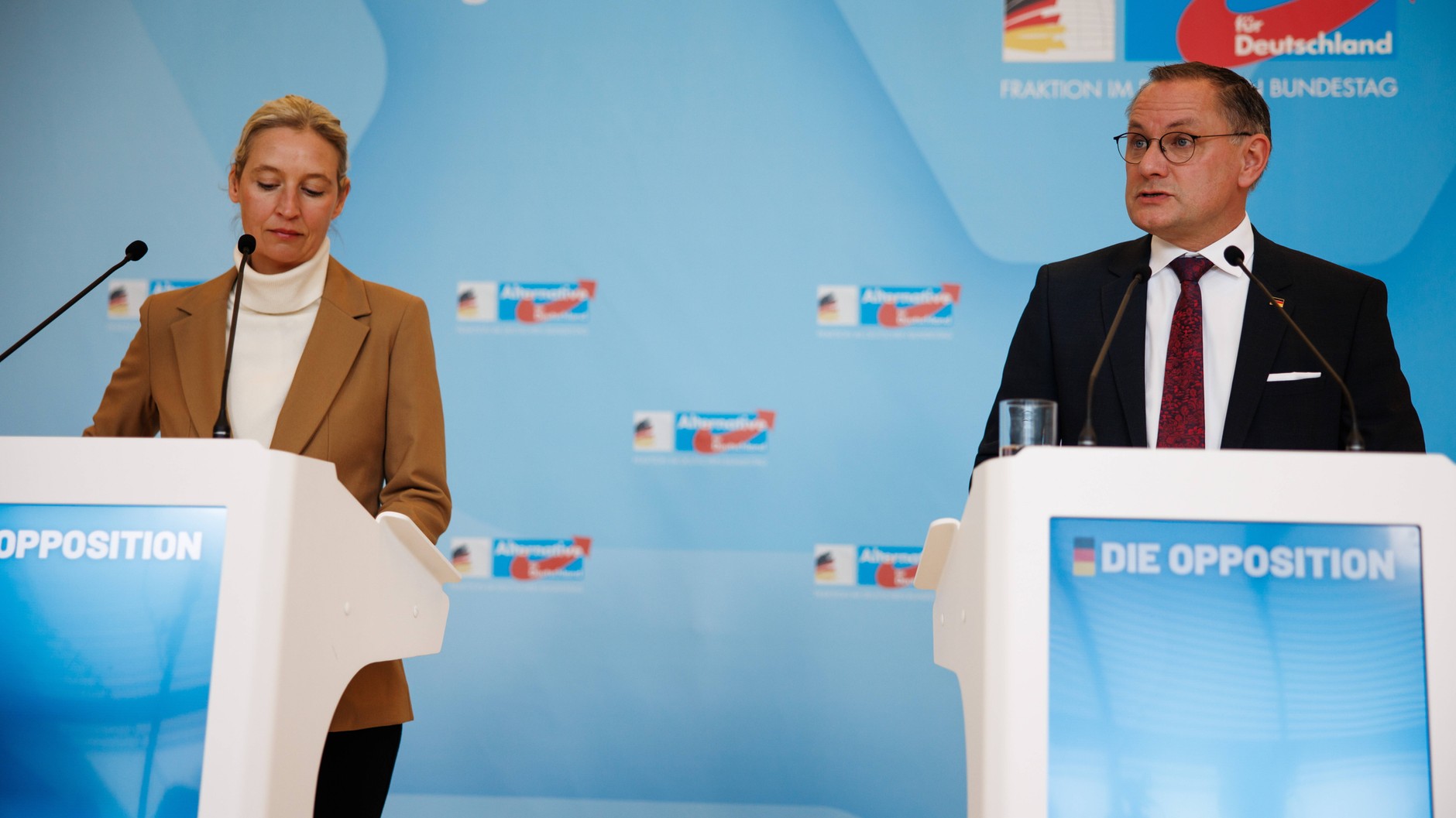 Alice Weidel and Tino Chrupalla, AfD leaders. Berlin, November 4, 2025