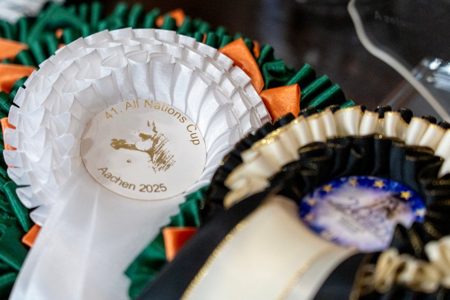 Cotillions won by horses from the Janów Podlaski Stud at shows in 2025.