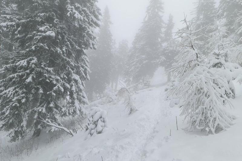Winter landscape, Photo: Vlad Barza / HotNews.ro
