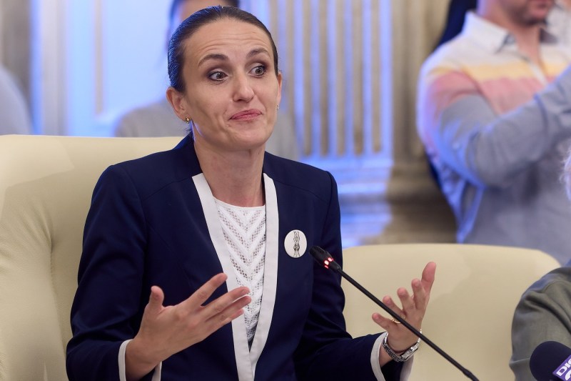 Why did Oana Țoiu say that 