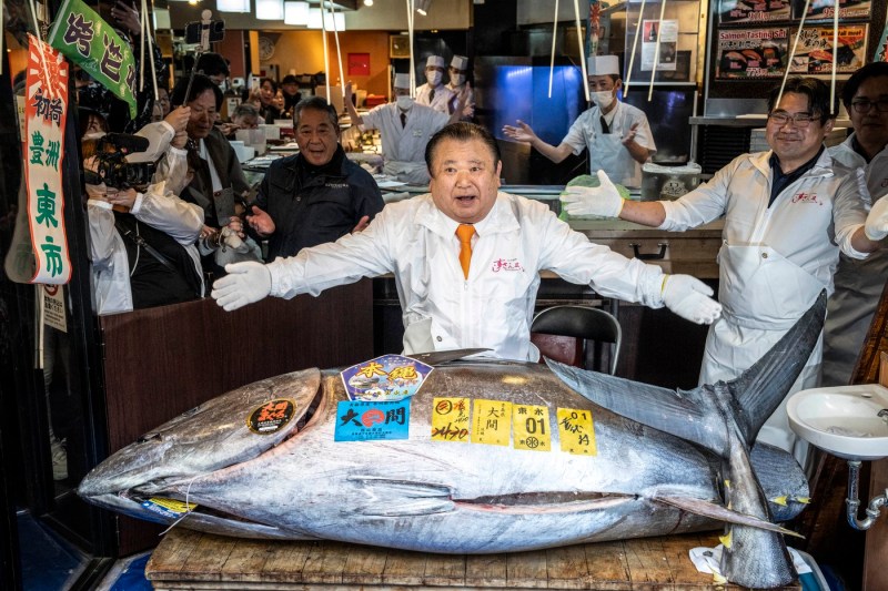 Record auction price for a single fish in Japan. The previous record was seven years old