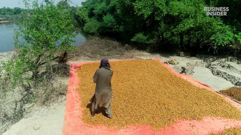 Growers try to dry their crops in the sun to have something to sell