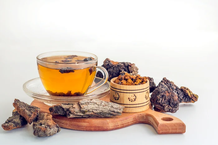 pieces of chaga